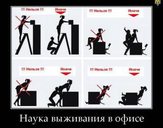 Наука выживания в офисе