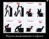 Наука выживания в офисе