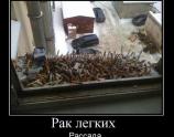Рак легких