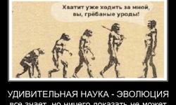 Удивительная наука