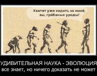 Удивительная наука