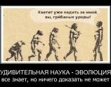 Удивительная наука