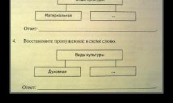 Социология