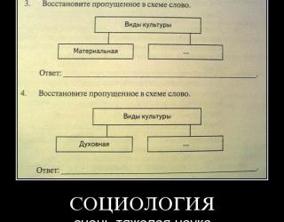 Социология