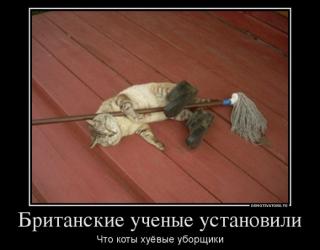 Британские ученые установили