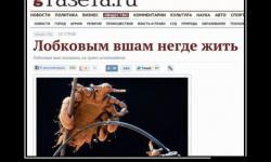 Их будущее