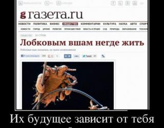 Их будущее