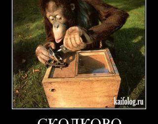 Сколково