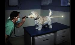 Лазерные технологии