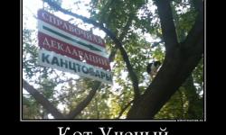 Кот Ученый