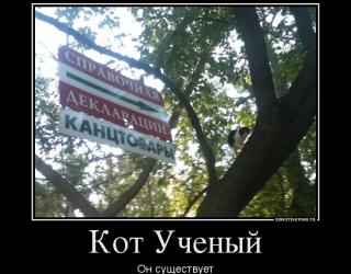 Кот Ученый
