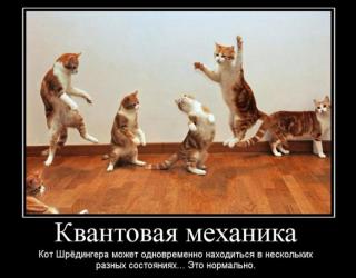 Квантовая механика