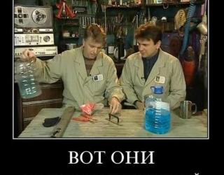 Вот они
