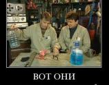 Вот они