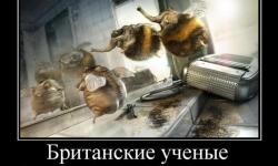 Британские ученые