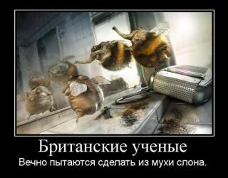 Британские ученые