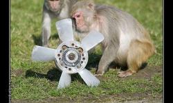 Российская наука